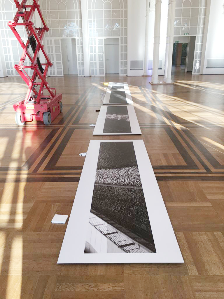 SetUp "Black & Stripes", 01, Flora, 2018