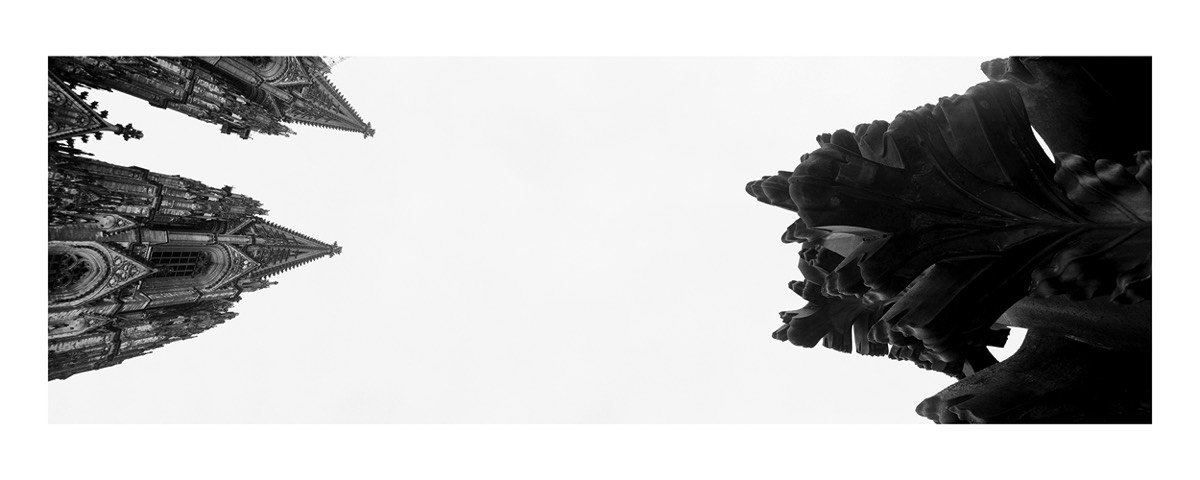 Dom_Kreuzblume, 2016, 100x250cm